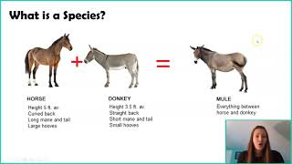 Introduction to Macroevolution amp Speciation [upl. by Tsan]