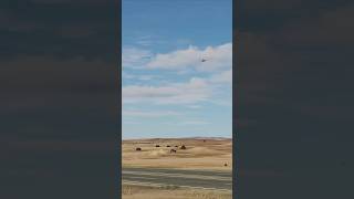 A10 Warthog drops a load of cluster bombs dcs [upl. by Aitropal]