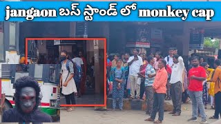 jangaon బస్టాండ్ లో monkey cap [upl. by Norword608]