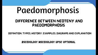 Paedomorphosis  Difference between Neoteny and Paedomorphosislectures handwritten notes [upl. by Neilla]