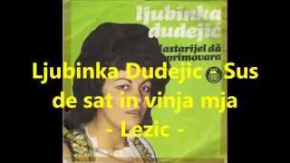 Ljubinka Dudejic Sus de sat in vinja mja [upl. by Nitsuj]