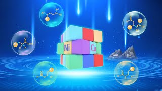 Introduction to Transition Metal Catalysis [upl. by Nnayelhsa607]