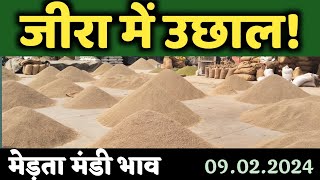 जीरा में उछाल मेड़ता मंडी भाव  Jeera Bhav  Guar Bhav  Merta Mandi Bhav Today 09022024 [upl. by Atteloc]