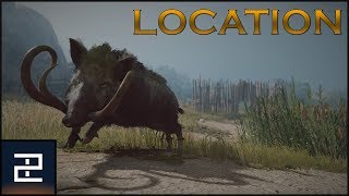 Assassins Creed Odyssey  The Erymanthian Boar  LEGENDARY Location [upl. by Jeffy]