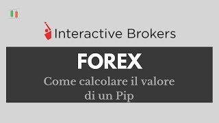 Interactive Brokers come calcolare il valore di un Pip [upl. by Basil]