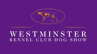 LIVE NYC 2024 Westminster Kennel Club Dog ShowMorning Session [upl. by Yrrej]