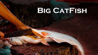 Giant Catfish Cutting amp Cleaning  Expert Fish Preparation in the USA [upl. by Thalia]