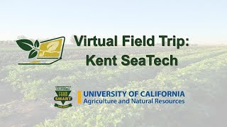 Kent SeaTech Fish Farm Virtual Field Trip [upl. by Hoo91]