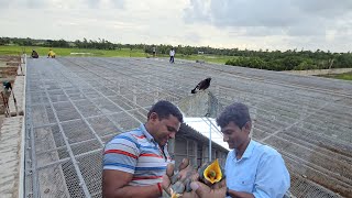 Indian Mayna Breeding  Parrot Dipankar New Parrot Farm Aviary Shape And Size [upl. by Lechar]