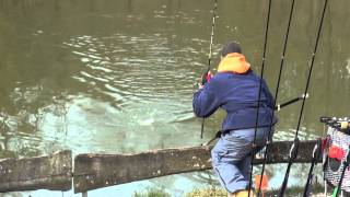 TFT Trout Fishing Tackle Tremarella Glas Montage  TFT Tremarella Ruten Angeln [upl. by Okir]