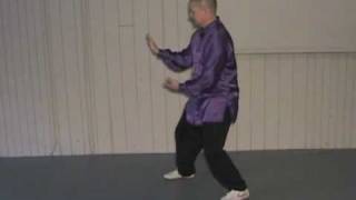 24 Form Tai Chi  Lesson 12  Grasp Birds Tail  part 4 [upl. by Annahahs]