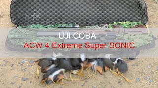 Uji Coba  Acw 4 Extreme 1200 FPS 13 Grain SLUG BST  HUNTING RUAK  30 METER  LW POLYGON  HOGAN [upl. by Caldwell371]