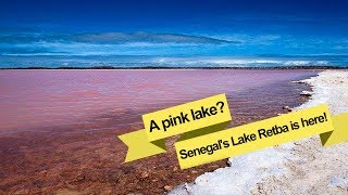 Live A pink lake Senegal’s Lake Retba is here 见过粉红色的湖吗？ [upl. by Brand422]