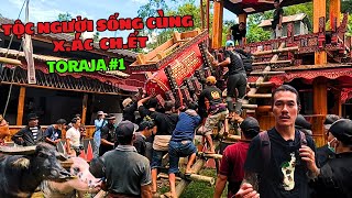 Tang lễ phụ nữ quý tộc  Toraja những người sống cùng xác chết [upl. by Danialah525]