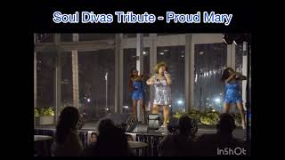 SOUL DIVAS TRIBUTE  Tina Turner featuring Brenda Guy [upl. by Eddie]