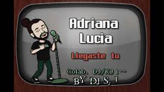 Adriana Lucia Llegaste Tu DJ Sauly Karaoke [upl. by Adnahs918]