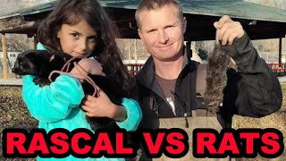 Rascal the Minks First Pest Control Hunt at the Park [upl. by Sileas]