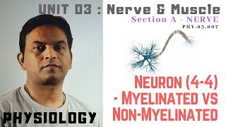 PHY03007Neuron 44 – Myelinated vs Unmyelinated  Dr Prashant Sharma [upl. by Oranneg]