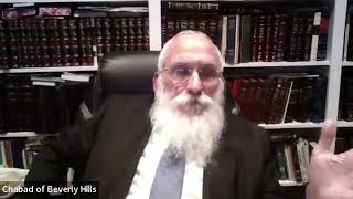 What You Need to Know About Lashon Hara  Chassidus and Halacha [upl. by Llertac]