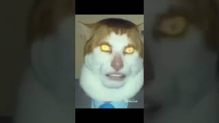 Meme gato cantando [upl. by Nirrek]