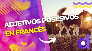 Adjetivos Posesivos en Francés [upl. by Kippie]