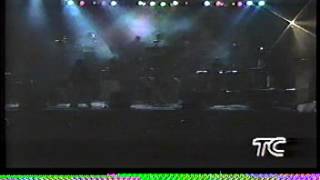 Salserin Entre tu y Yo En Vivo Ecuador 1997 [upl. by Nnyltiac233]