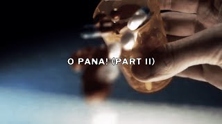 uicideboy  O Pana 2 Lyric Video prod ByMe Beats [upl. by Anenahs]