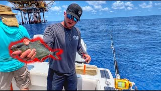 EPIC Amberjack Fishing Adventure  75 Miles Offshore Texas Coast [upl. by Bailie]