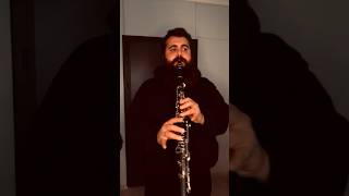 Haggard  Garmana  Herr Mannelig  Clarinet Cover [upl. by Foskett]