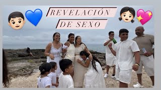 Revelación de género 💙💖 de nuestro bebemendozachelis 🥰 [upl. by Weiss]