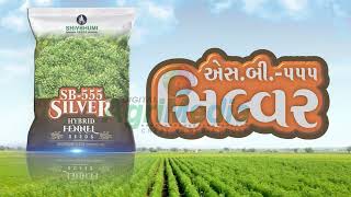 Shivbhumi Silver Fennel Seeds voice over Advertisement [upl. by Haik]