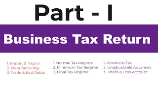 Filing Your First Professional Business Tax Return Everything You Need to Know Part 1 [upl. by Ly]