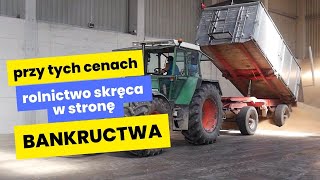 Przy tych cenach zbóż rolnictwo skręca w stronę bankructwa Żniwa 2024 [upl. by Elahcim]