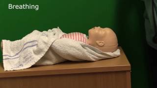 Neonatal Resuscitation  Demonstration [upl. by Lamrert]