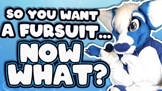 So you want a fursuit Now what 🔹 Everything you need to know The Bottle Ep80 [upl. by Ormiston]