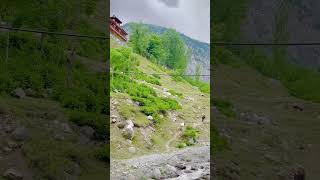 Kalam valleykalamvalley travel kalamforest mountains [upl. by Olenolin647]