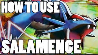 How To Use Salamence Salamence Strategy Guide ORAS  XY  Pseudo Sweep [upl. by Placia]