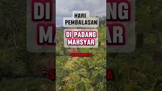 Hari pembalasan di padang mahsyar [upl. by Mauralia]