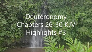 Deuteronomy Chapters 2630 KJV Highlights 3 [upl. by Susanne]