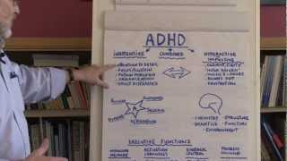 What Is ADHD [upl. by Perry]