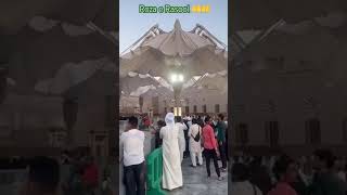 O madina ka jise Dil kahinI love madinatrendingshorts kaabasharif love shorts [upl. by Eedoj819]