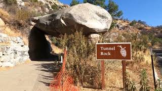 Sequoia National Park  Full Drive and Then Some  4K [upl. by Yaras]