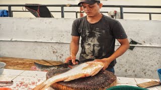 BIG LUTJANUS RIVULATUS FISH Lutjanidae BY EXPERT FISH CUTTER  FISHERMAN CUTTING [upl. by Haraj250]