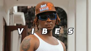 Fik Fameica Ft Harmonize Ft Diamond Platnumz  Latest Wasafi Type Beat quotVIBESquot [upl. by Seumas]