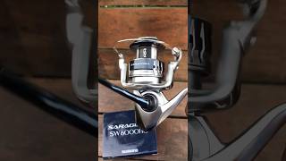 REEL SHIMANO SARAGOSA SW 6000 HG [upl. by Urita355]