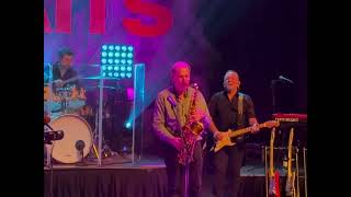 Sultans of Swing  live 16112024 by A Tribute to dIRE sTRAITS band Full HD 🎸🇸🇪 [upl. by Reger]