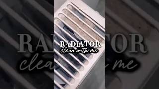 RADIATOR CLEAN  CLEANING TIPS  CLEANING  CLEAN WITH ME  CLEANING HACKS [upl. by Esya]