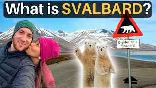 What is SVALBARD More Polar Bears than People [upl. by Harrietta]