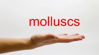 How to Pronounce molluscs  American English [upl. by Etnovahs14]