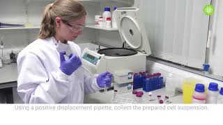 How to perform 3D cell culture [upl. by Anelac]